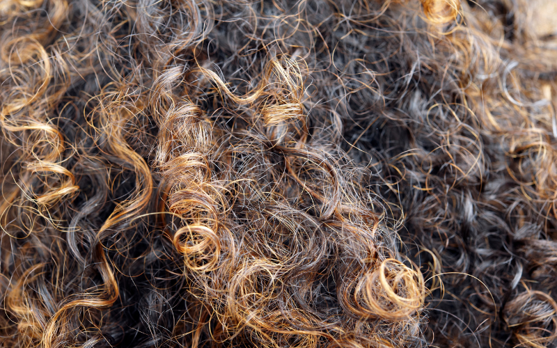 moisturize low porosity hair